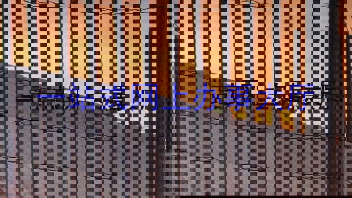 一站式网上办事大厅