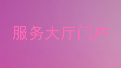 服务大厅门户