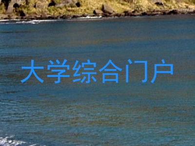 大学综合门户