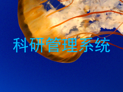 科研管理系统
