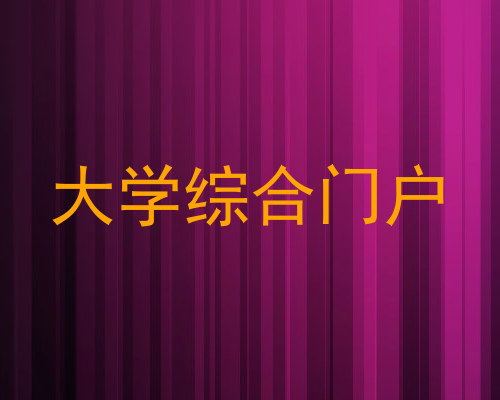 大学综合门户