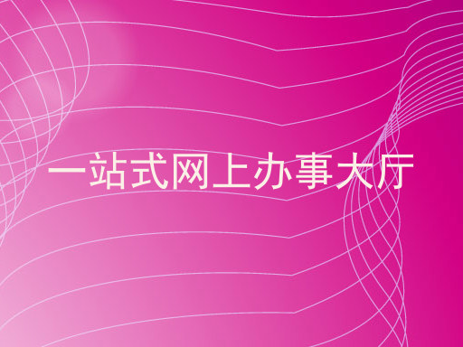 一站式网上办事大厅