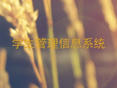学生管理信息系统