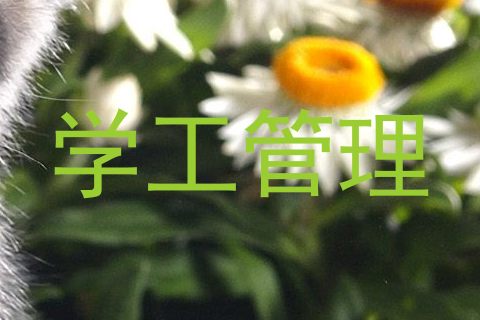 学工管理