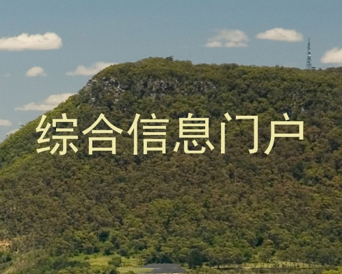 综合信息门户