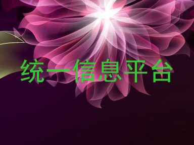 统一信息平台