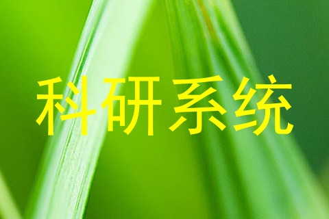 科研系统