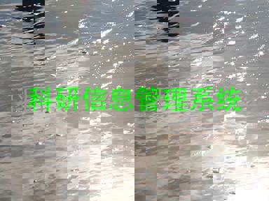 科研信息管理系统