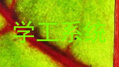 学工系统