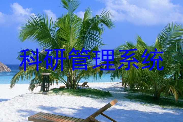 科研管理系统
