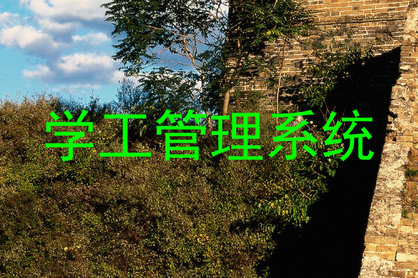 学工管理系统