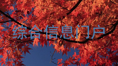 综合信息门户
