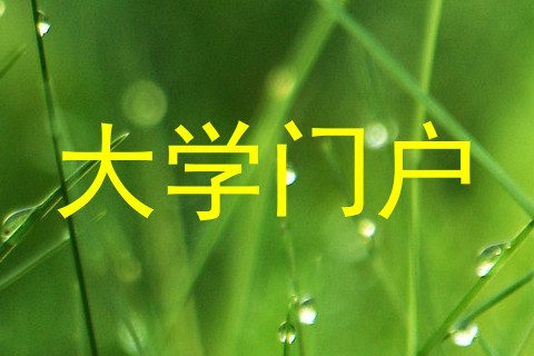 大学门户