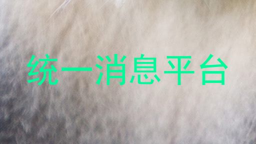 统一消息平台