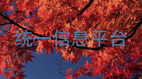 统一信息平台
