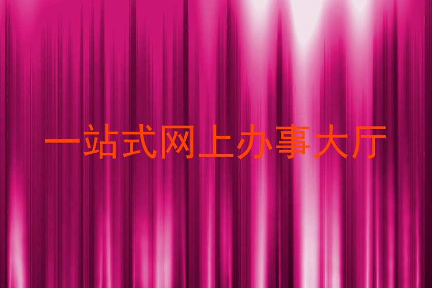 一站式网上办事大厅