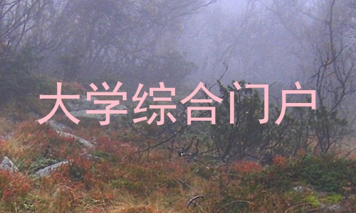大学综合门户