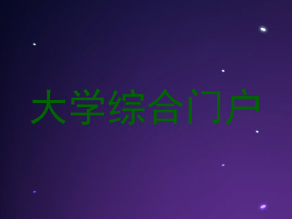 大学综合门户