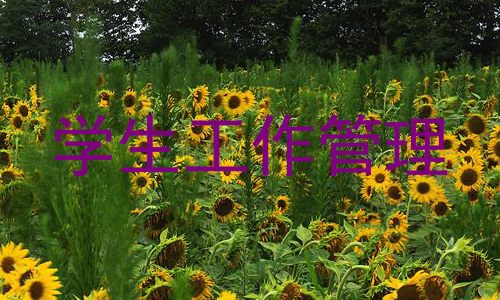 学生工作管理