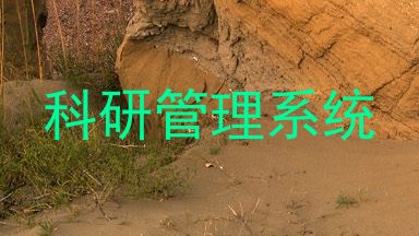 科研管理系统