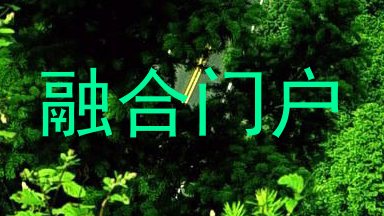 融合门户