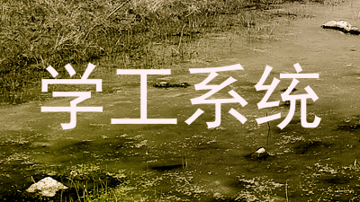 学工系统