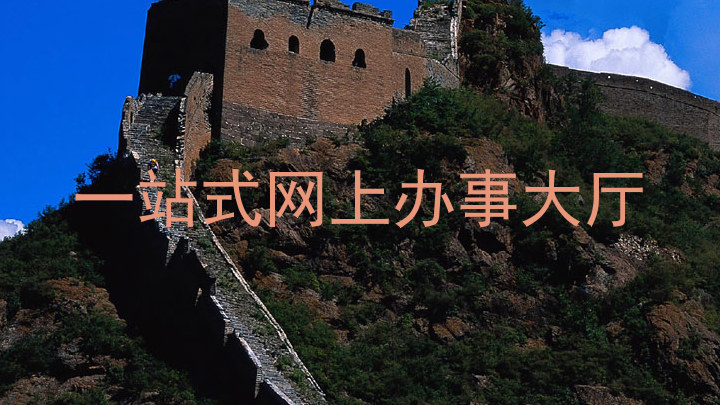 一站式网上办事大厅