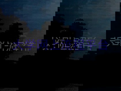 大学网上流程平台