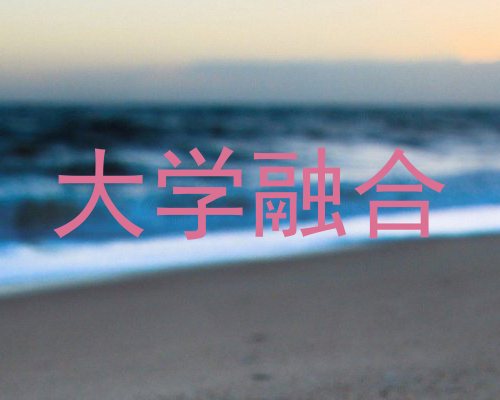 大学融合