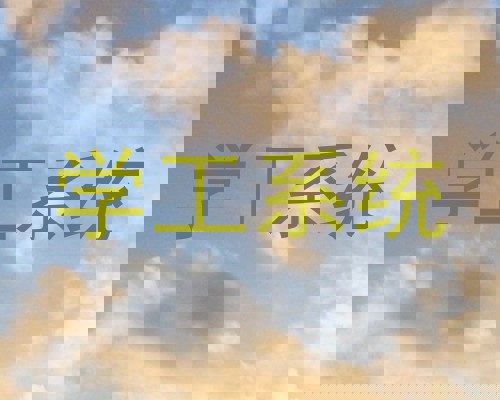 学工系统