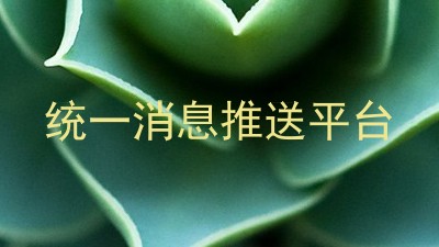 统一消息推送平台