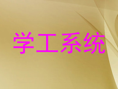 学工系统