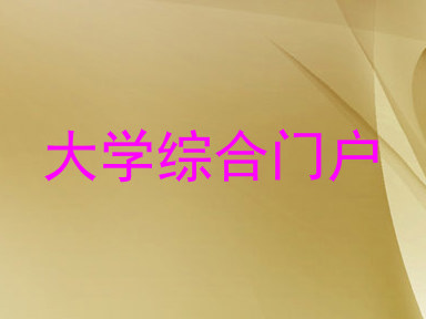 大学综合门户
