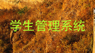 学生管理系统