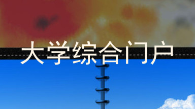 大学综合门户