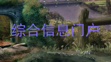 综合信息门户