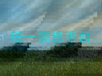 统一信息平台