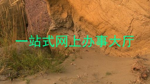 一站式网上办事大厅