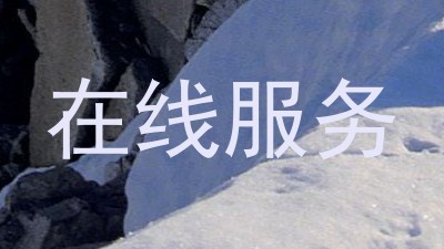 在线服务