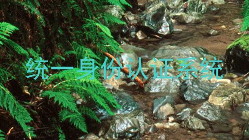 统一身份认证系统