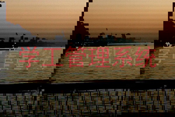 学工管理系统