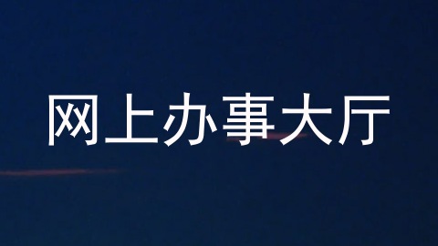 网上办事大厅