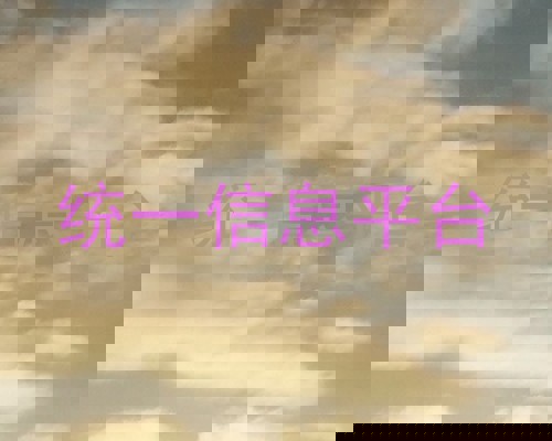 统一信息平台