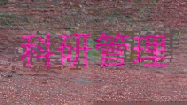 科研管理