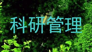 科研管理