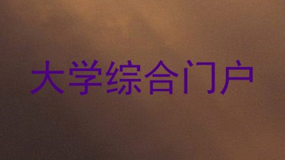大学综合门户
