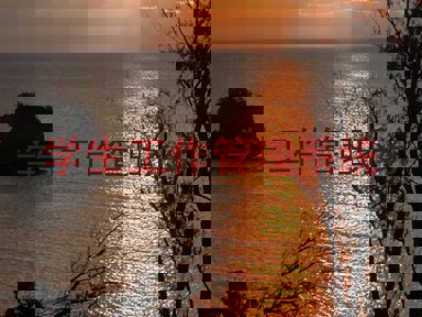 学生工作管理系统