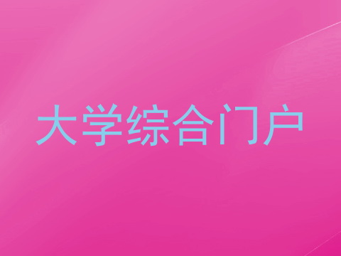 大学综合门户