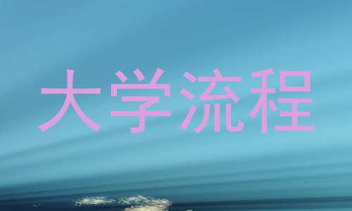 大学流程