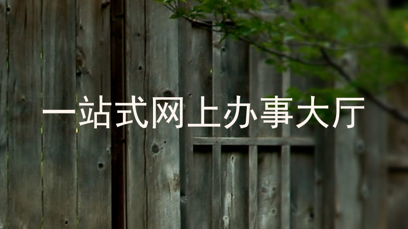 一站式网上办事大厅